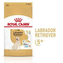 Royal Canin Labrador Retriever 5+ Adult 3kg - sucha karma dla dorosłych psów rasy Labrador Retriever, 3 kg