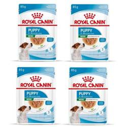 Royal Canin SHN Multipack Mini Puppy 84g - mokra karma dla szczeniąt, małe rasy, 84 g