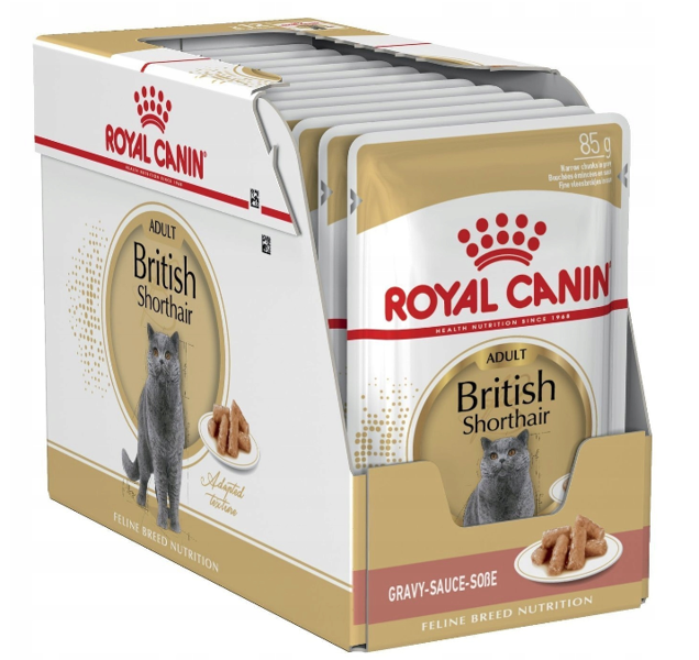 Generally speaking among winter ROYAL CANIN British Shorthair karma mokra w sosie dla kotów dorosłych rasy  brytyjski krótkowłosy 12x85g - maxandmrau.pl