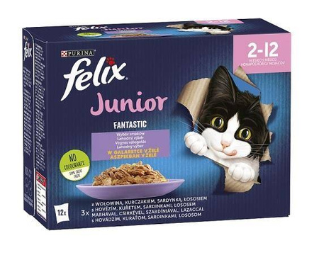 FELIX Fantastic Junior Wybór Smaków (12x85g) -  pełnowartościowa mokra karma dla kociąt
