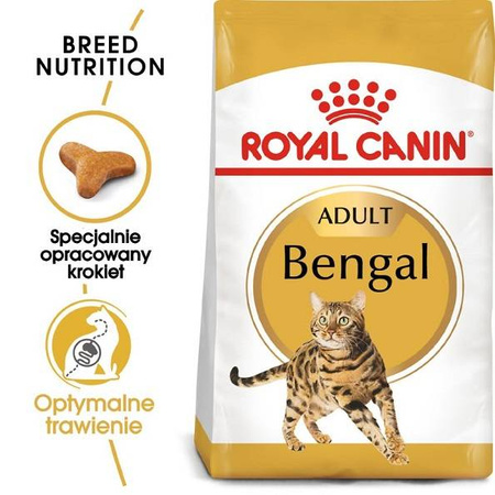 Royal Canin Bengal Adult 10 kg - sucha karma dla dorosłych kotów rasy bengalskiej 10kg