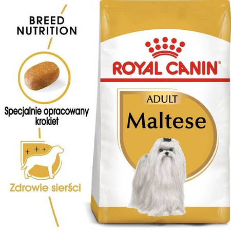 Royal Canin Maltese Adult 500 g - sucha karma dla dorosłych psów rasy Maltańczyk 500g